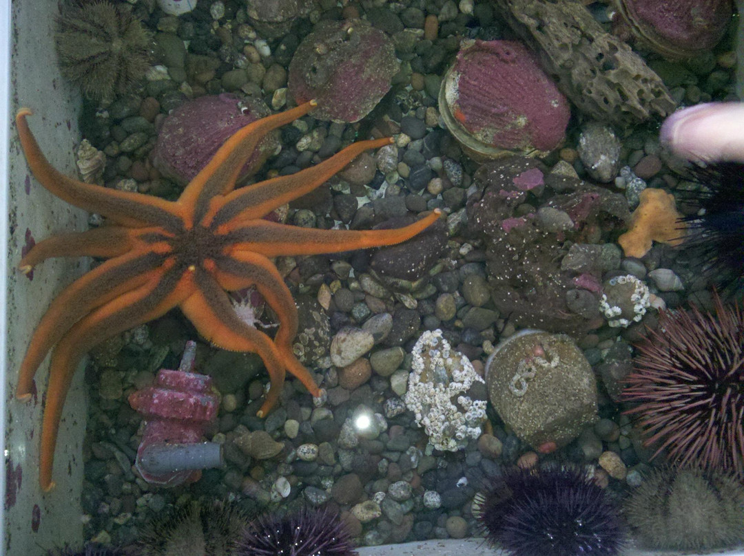 Feiro Marine Life Center景点图片