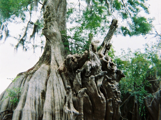 Backwater Expeditions-Rincon必去景点