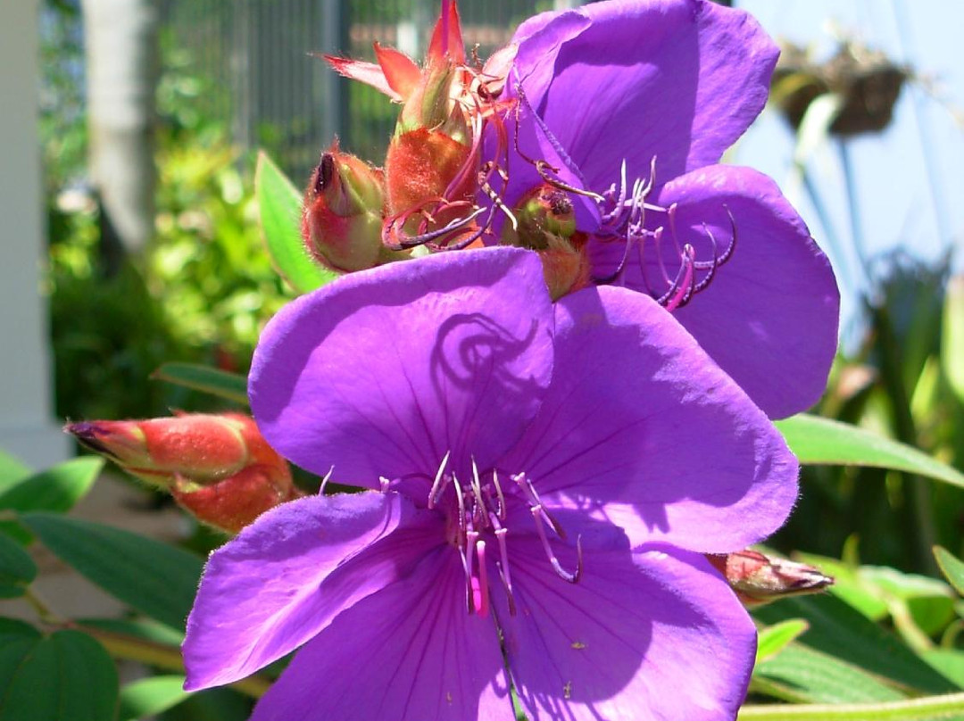Florida Botanical Gardens景点图片