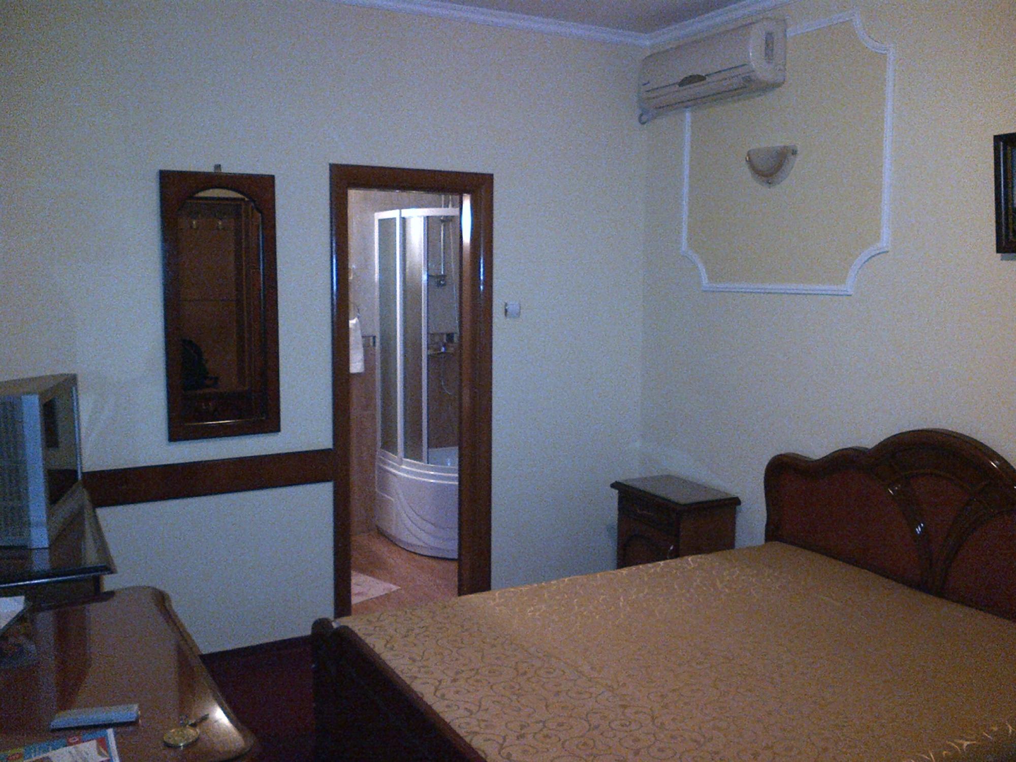 Hotel Orient-客卧