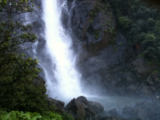 Ellenborough Falls-Elands必去景点