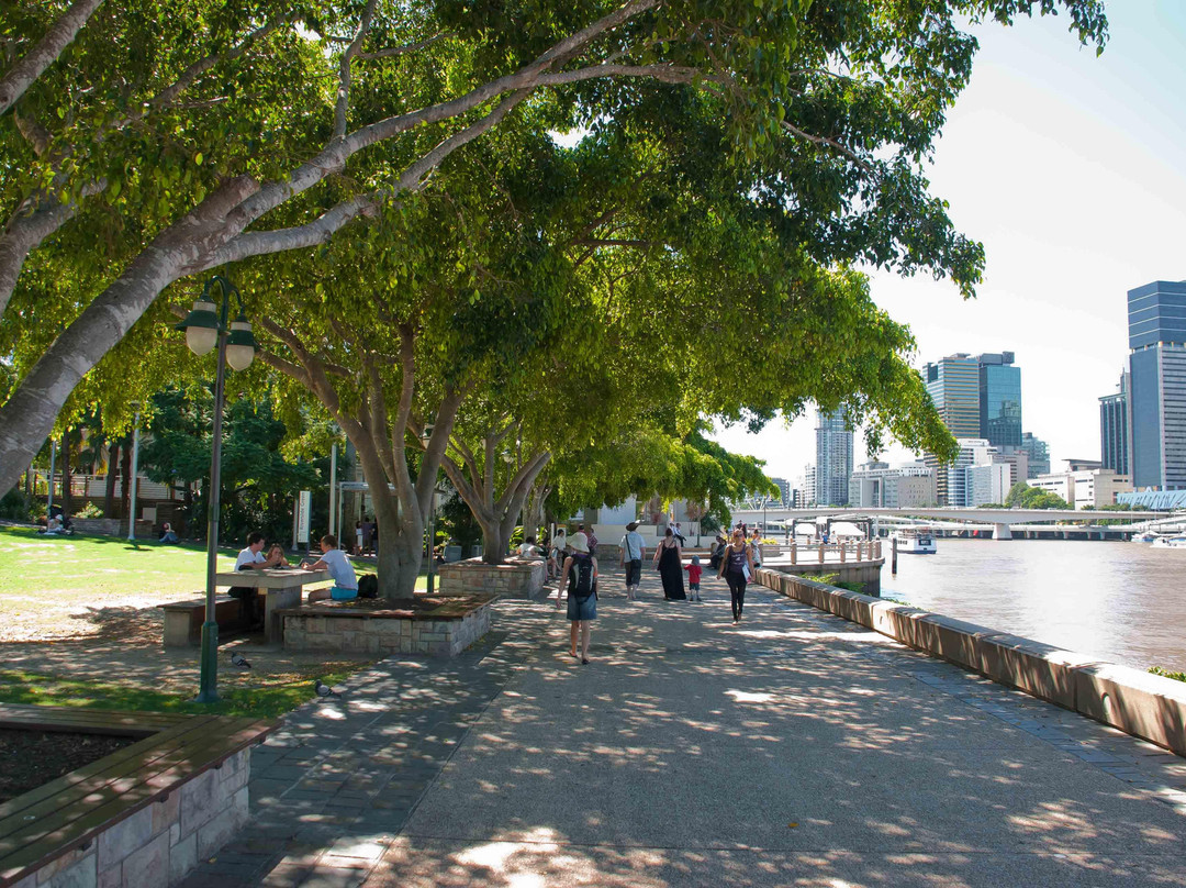 南岸公园-布里斯班必去景点