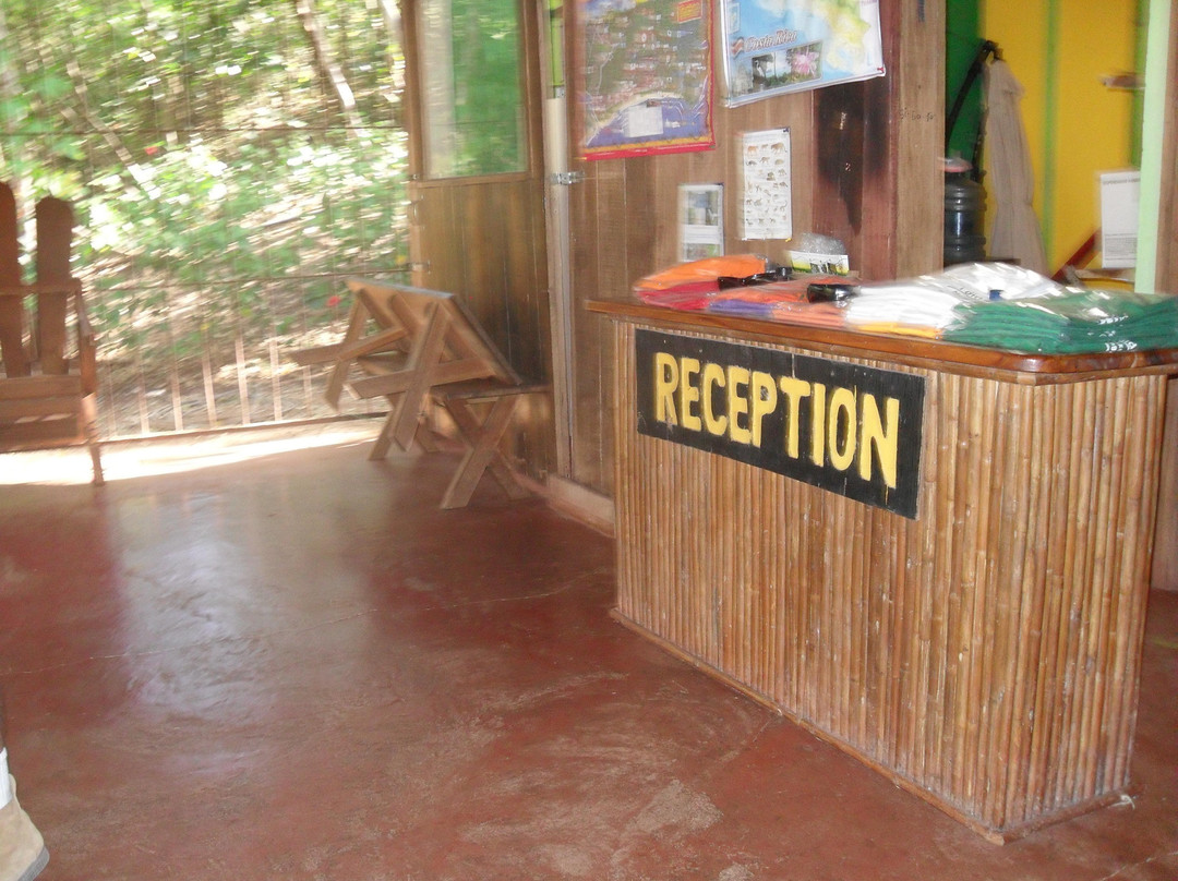 Monkey Jungle Canopy Tour景点图片