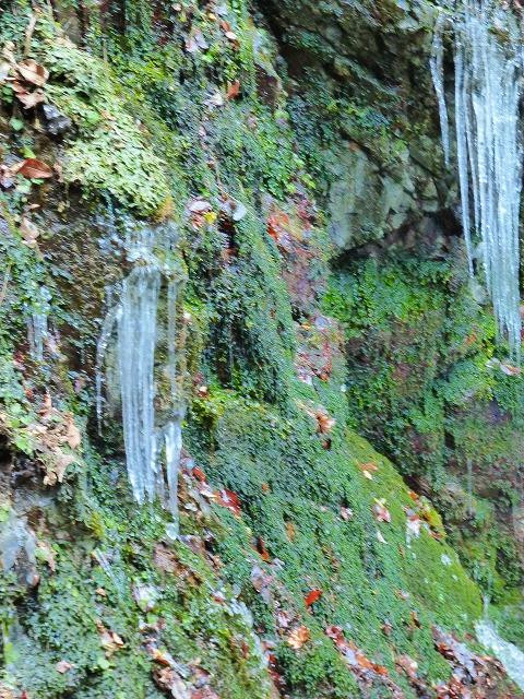 Hossawa Falls-桧原村必去景点