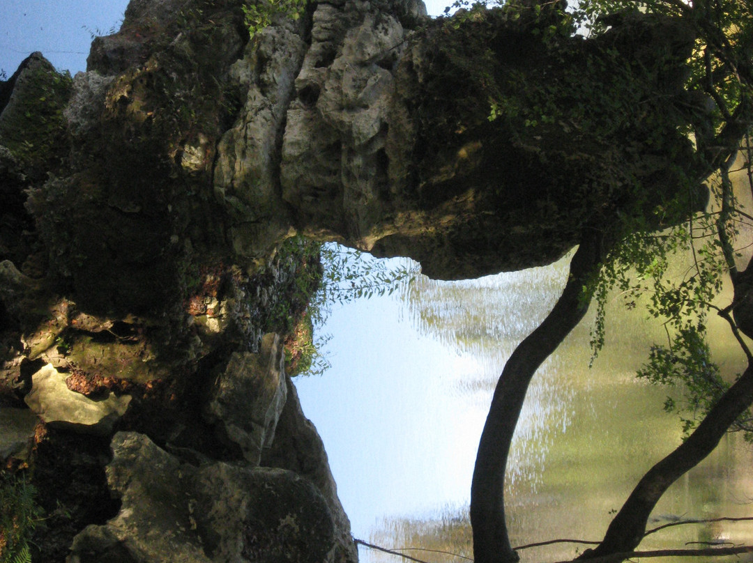 Suwanee River State Park-Live Oak必去景点