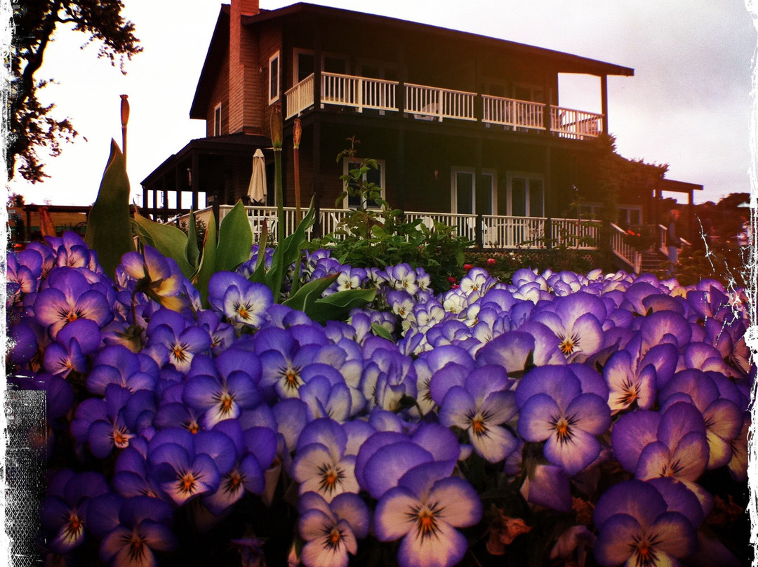 Honey Oak House Bed & Breakfast主图