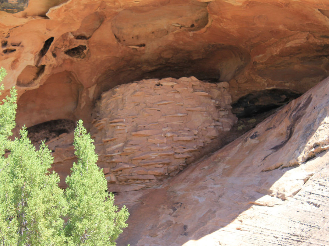Roadside Ruin Trail景点图片