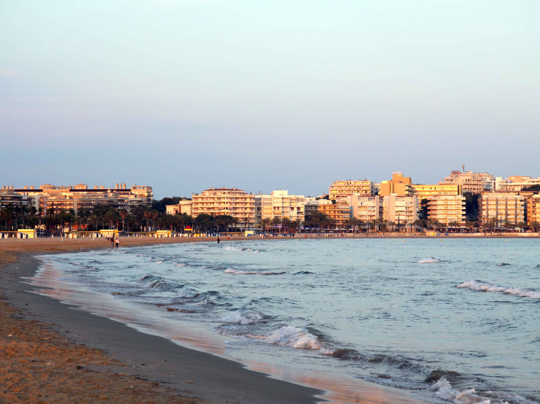 Llevant Beach景点图片