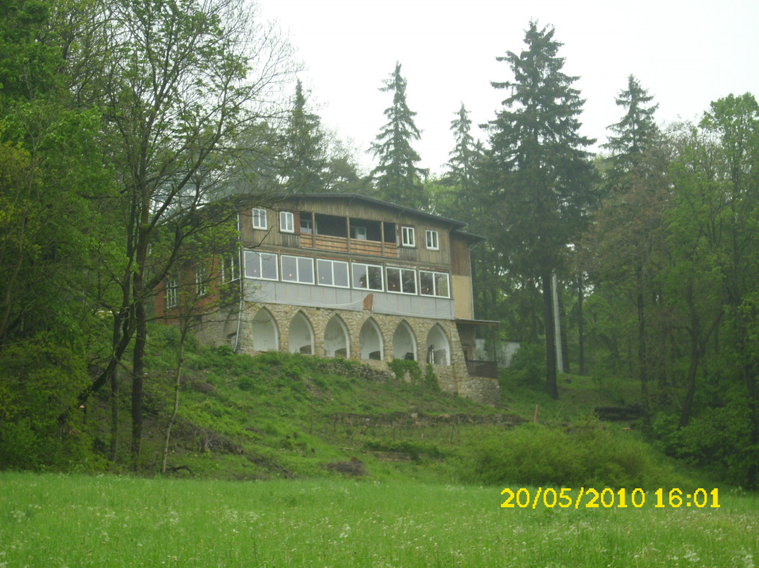 Mellingen旅游攻略图片