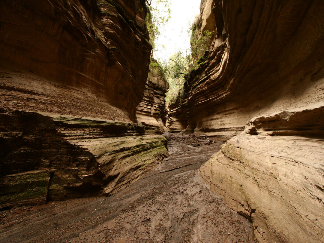 Hell's Gate National Park-奈瓦夏必去景点