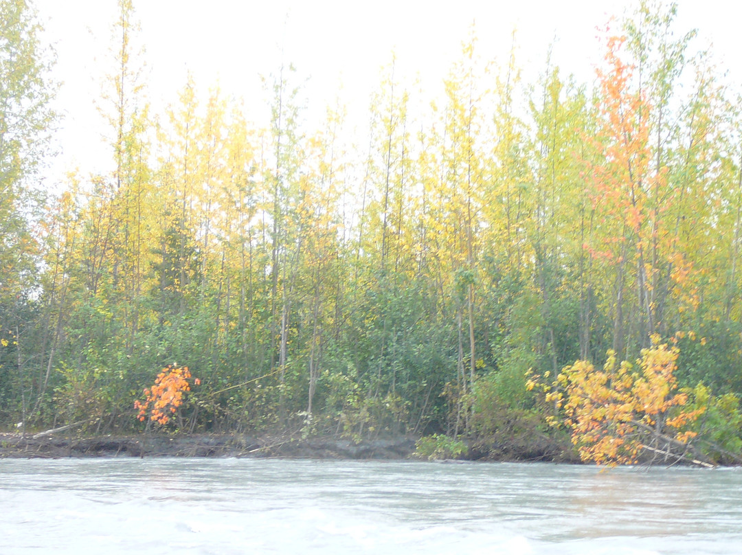 Talkeetna River Guides - Day Trips景点图片