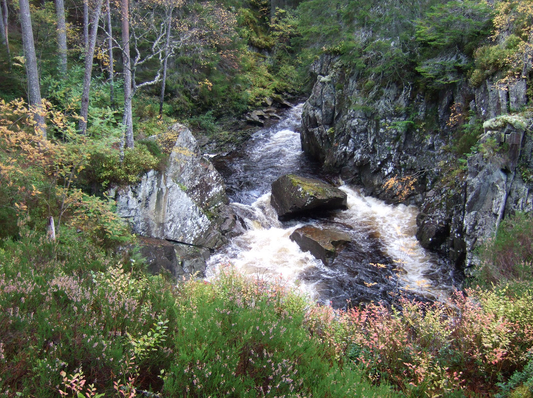Strathmashie Forest景点图片
