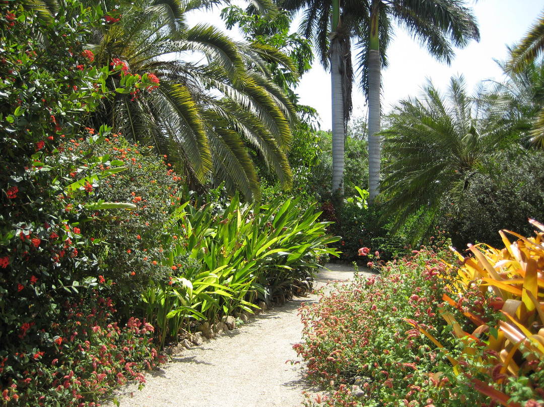 伊莉萨白女王二世植物园-大开曼岛必去景点
