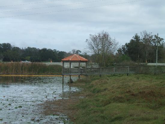 Mount Dora酒店住宿-Quality Inn and Suites Mount Dora