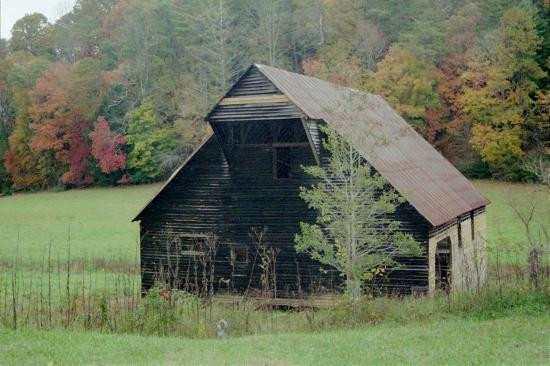 Cades Cove-大雾山国家公园必去景点