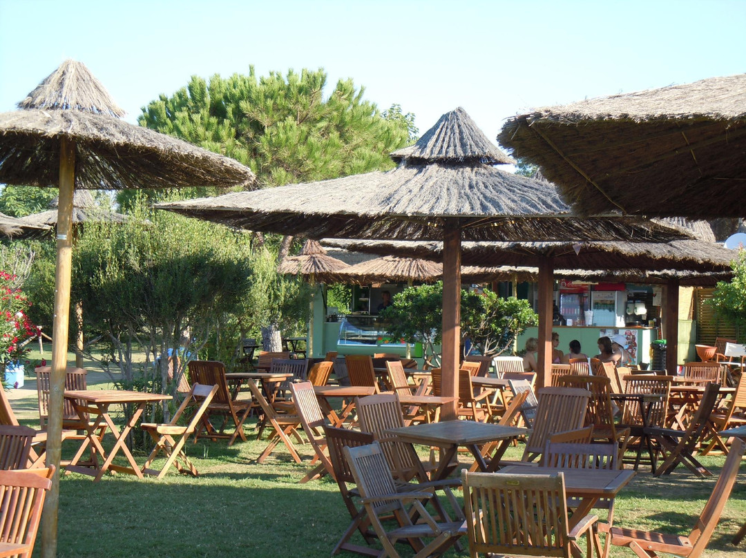 Monte Petrosu餐馆和美食-I Giardini di Cala Brandinchi