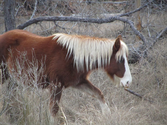 Proud Mary Charters-钦科蒂格岛必去景点