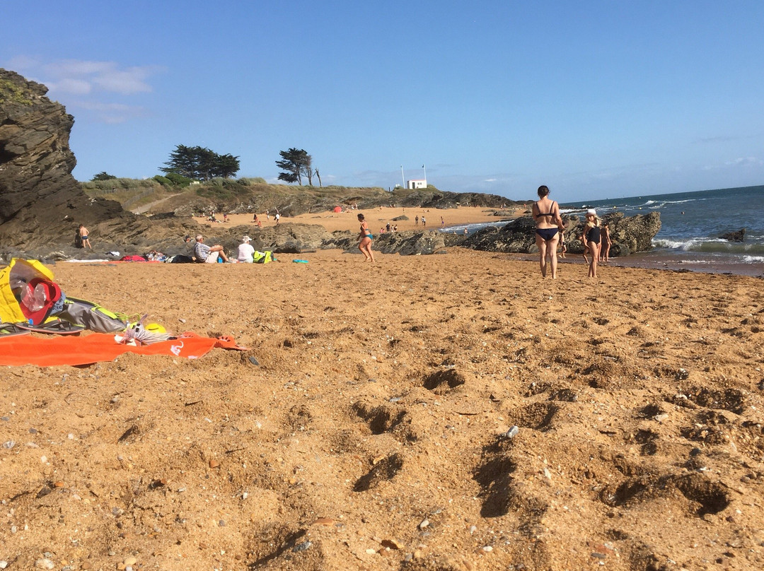 Plage Anse Du Sud景点图片