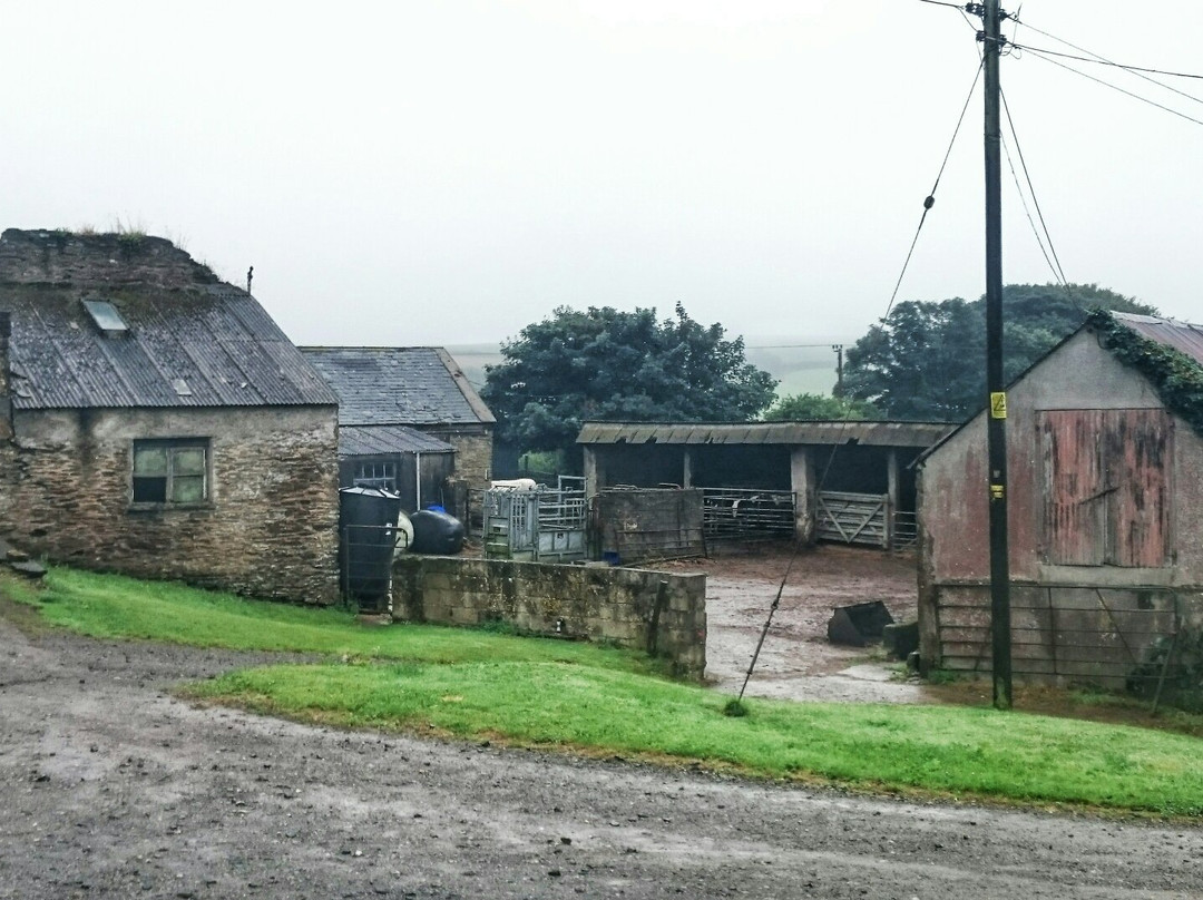 Bake Farm