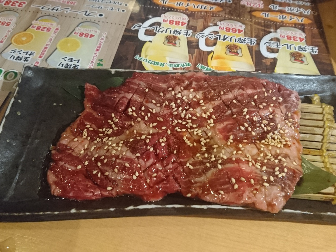 坂井市餐馆和美食-Hibinotei