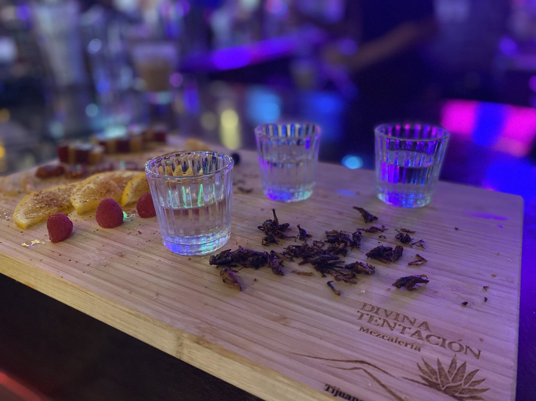 Divina Tentación Mezcalería