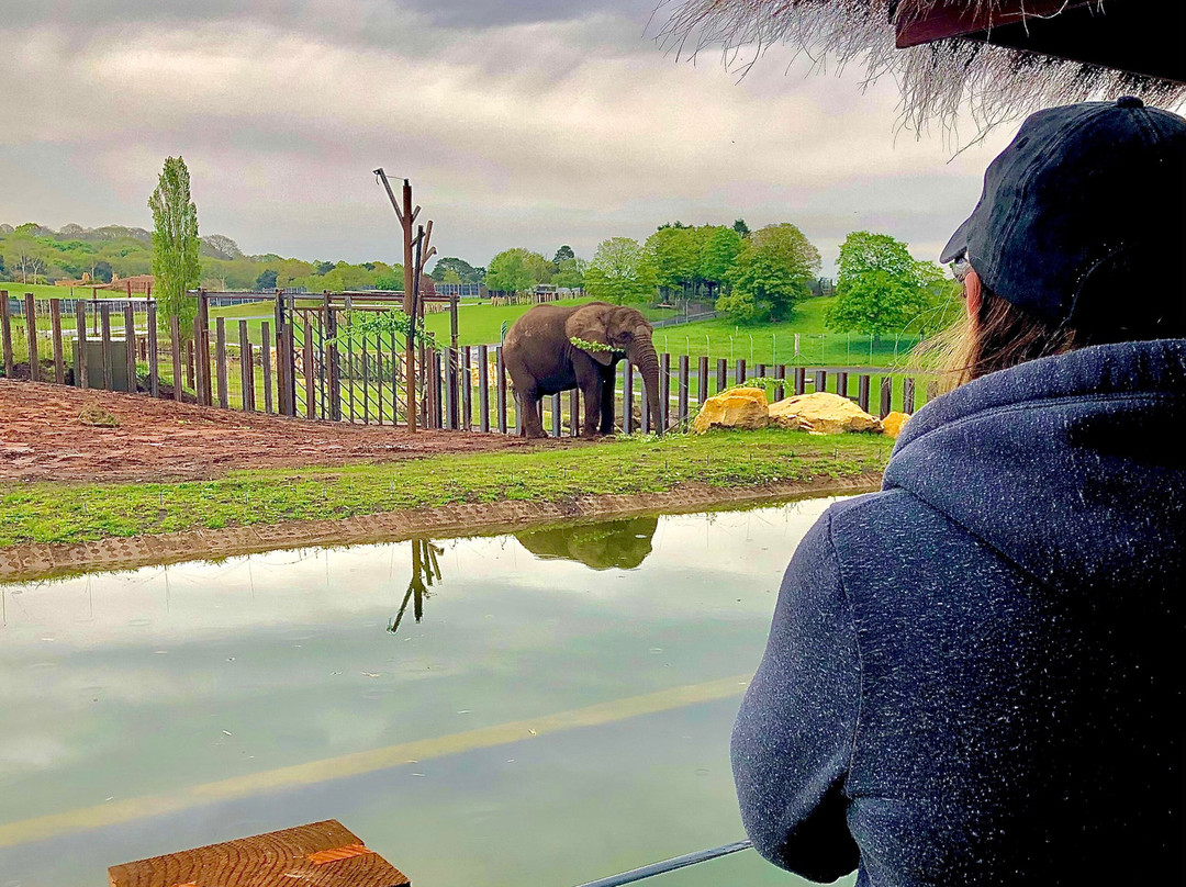 Stourport on Severn酒店住宿-Safari Lodges At West Midlands Safari Park