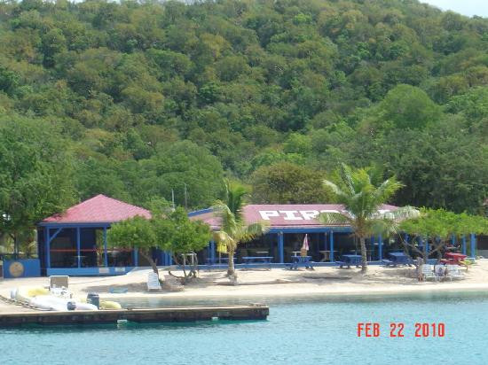 Palm Tree Charters-克鲁兹湾必去景点