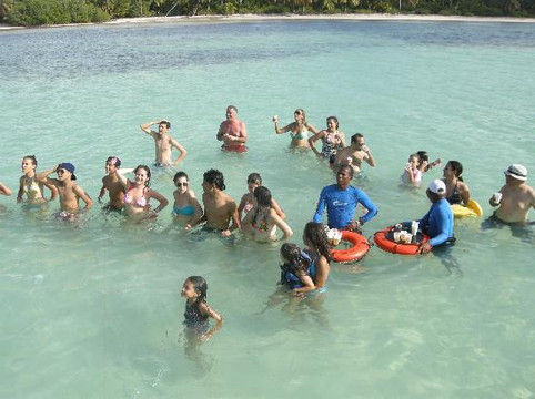 Dolphin Explorer-蓬塔卡纳必去景点