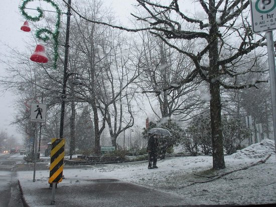 Memorial Peace Park-枫树岭必去景点
