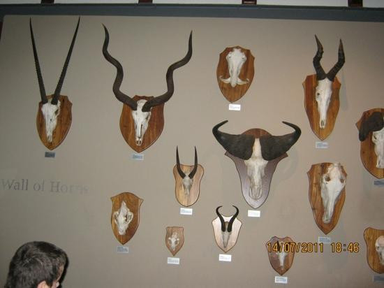 Addo Raptor and Reptile Centre-Addo Elephant National Park必去景点