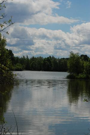 Dinton Pastures Country Park景点图片
