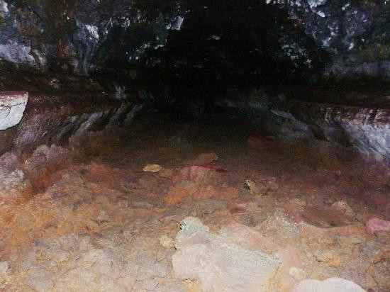 Kaumana Caves Park-希洛必去景点