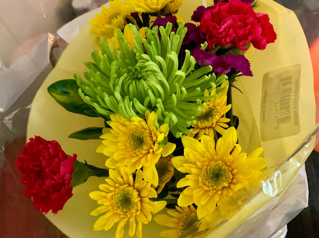 Cedar Motor Inn主图