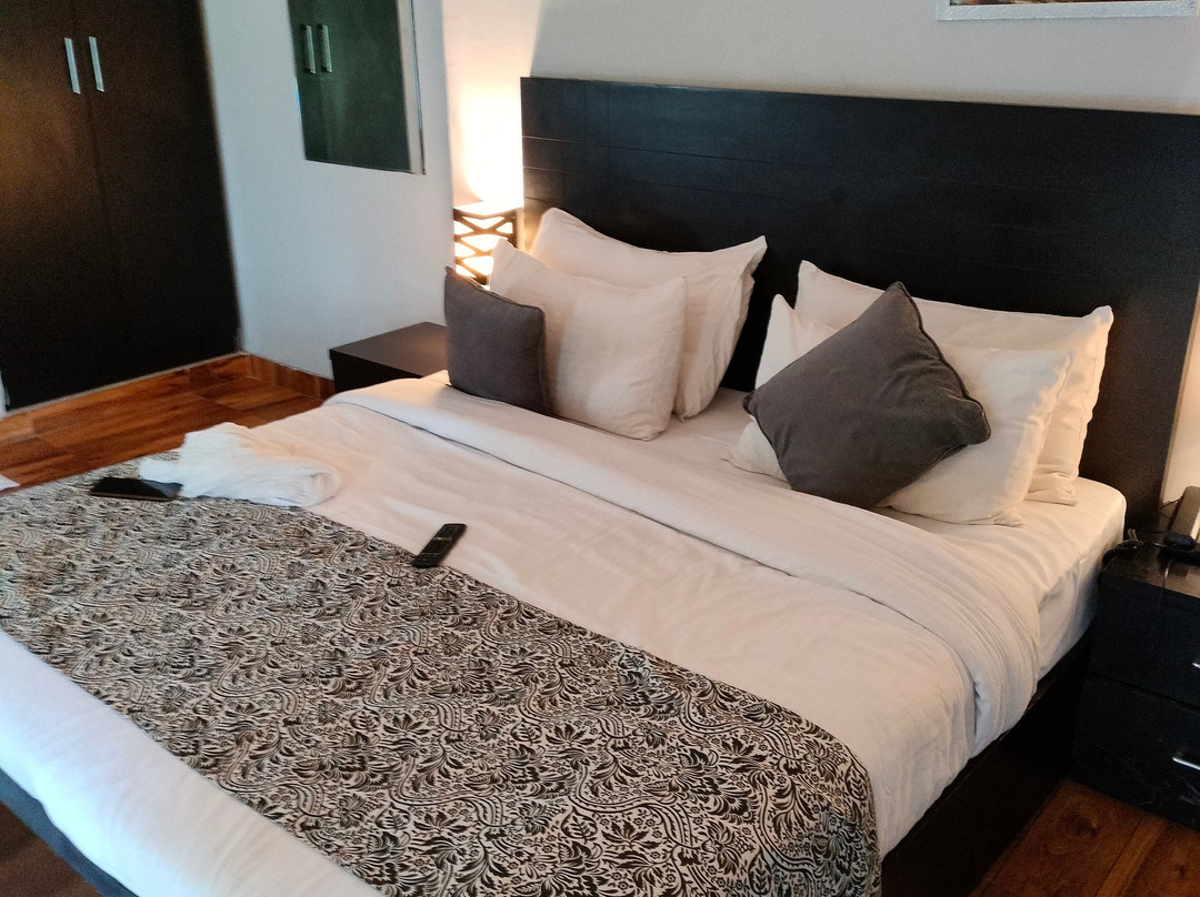 Anandam Clarks Inn Suites主图