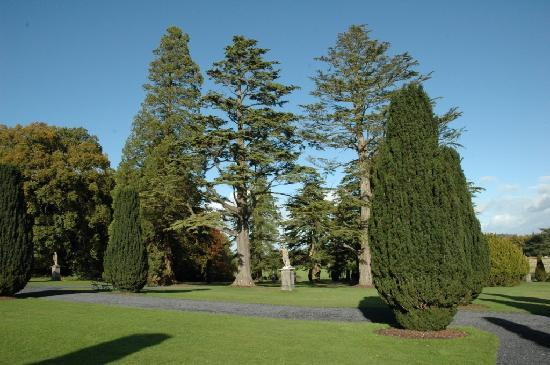 Emo Court-County Laois必去景点