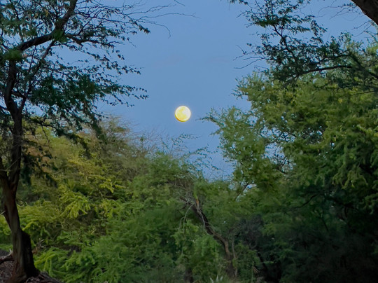 Star Gaze Hawaii-基亚拉凯库亚必去景点