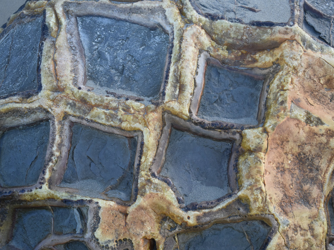 Moeraki Boulders景点图片