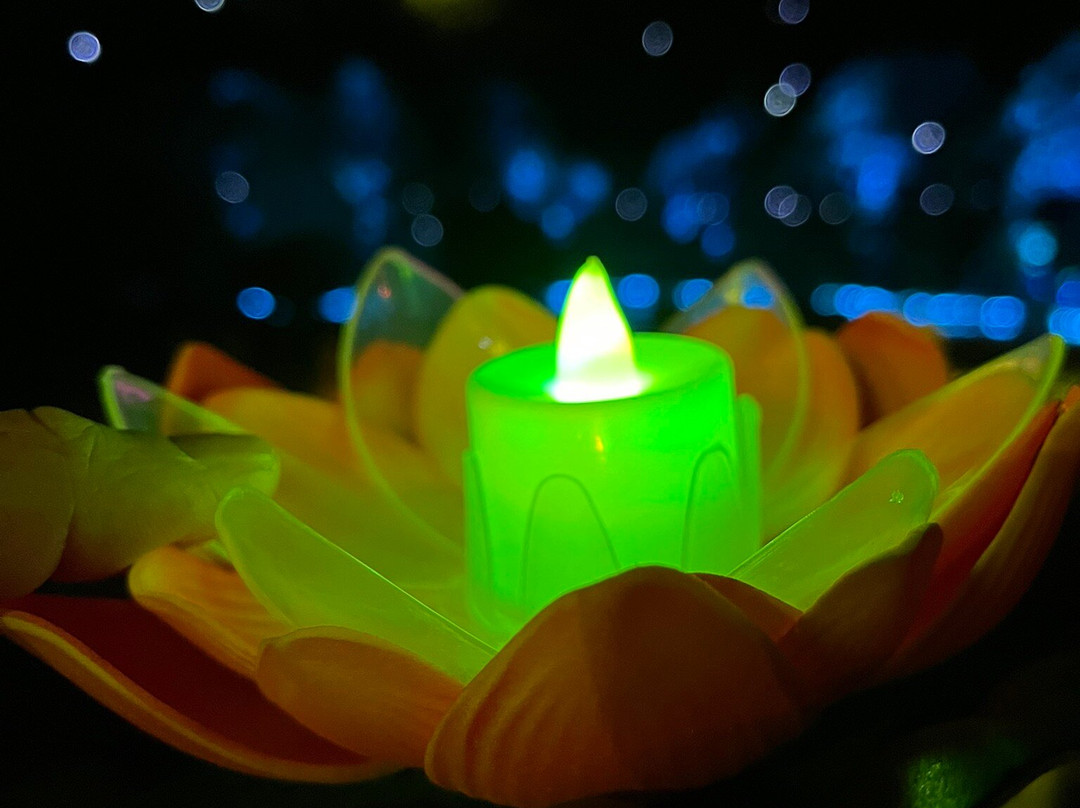 印象普陀-舟山市必去景点