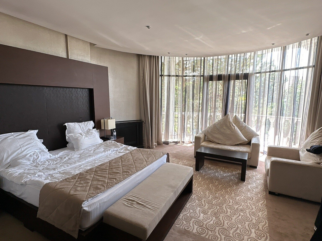 Donatello Boutique Hotel主图