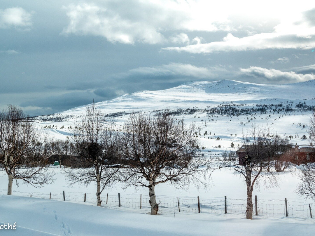 Hovringen Fjellstue主图