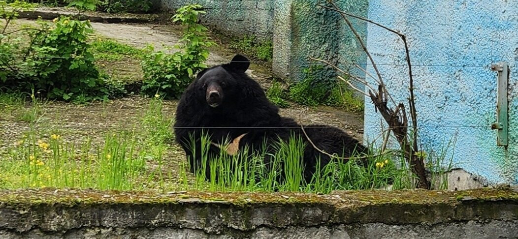 Rostov Zoo景点图片