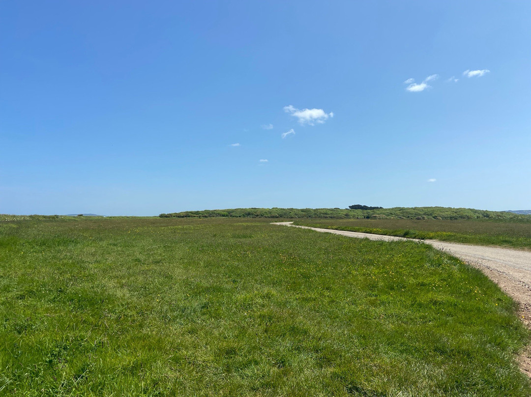 Tehidy Country Park-Camborne必去景点