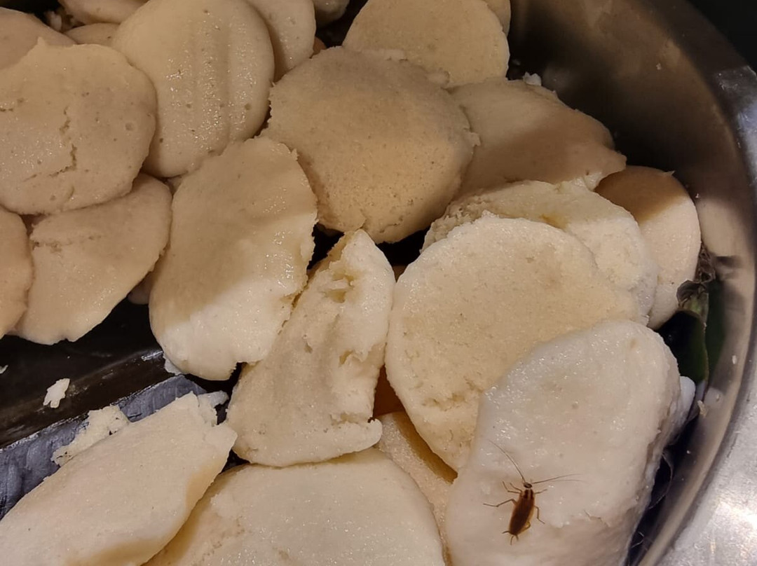 Ramada Plaza by Wyndham Pune Hinjewadi主图