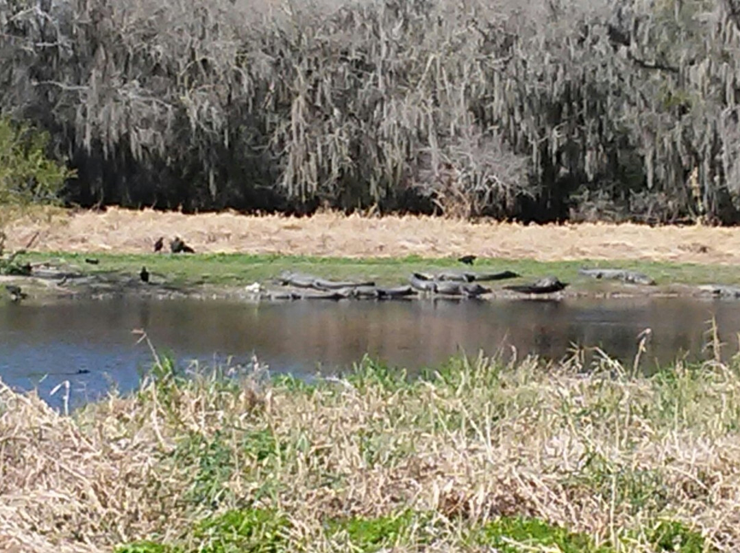 Venice Myakka River Park-Nokomis必去景点