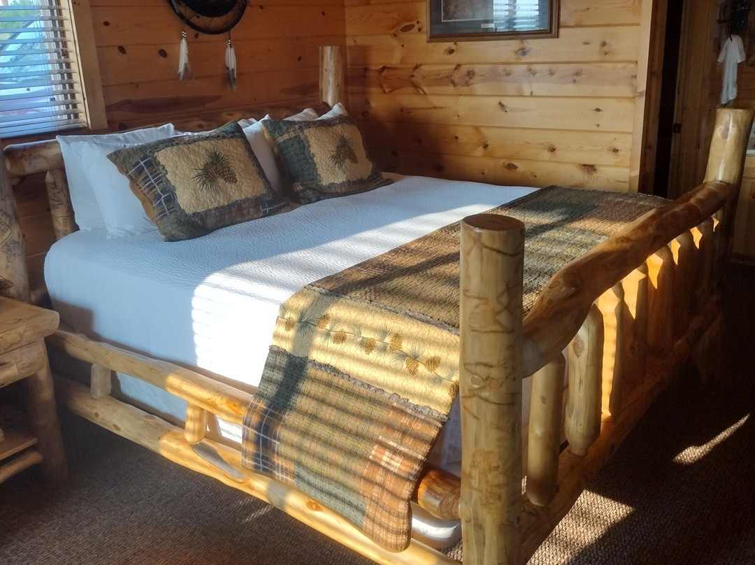 Frontier Cabins Motel主图