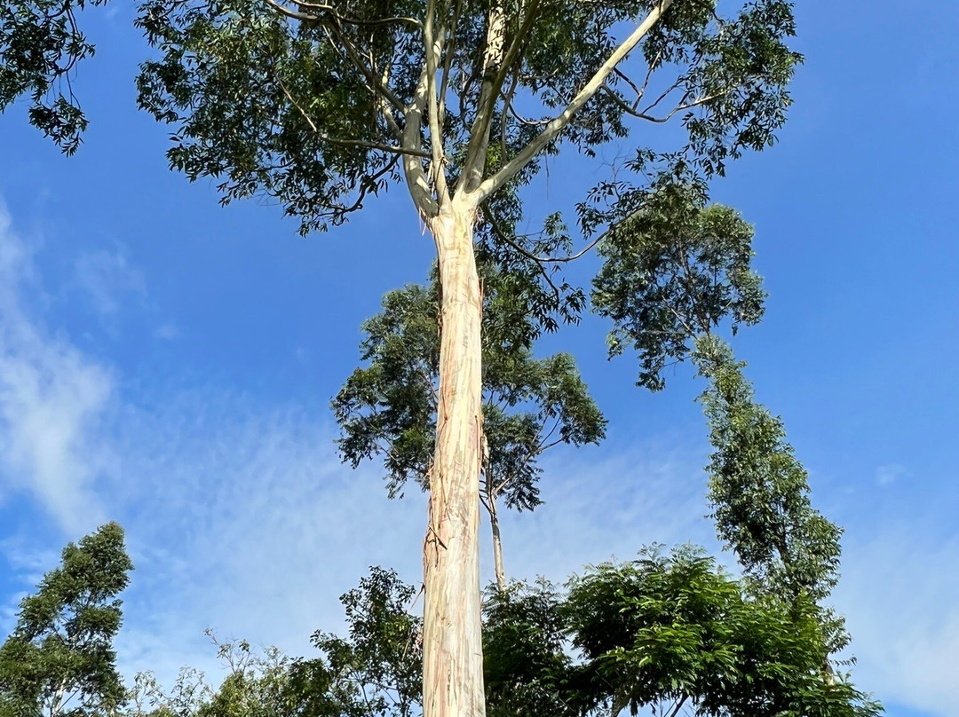 Castlereagh Reservoir-哈顿必去景点