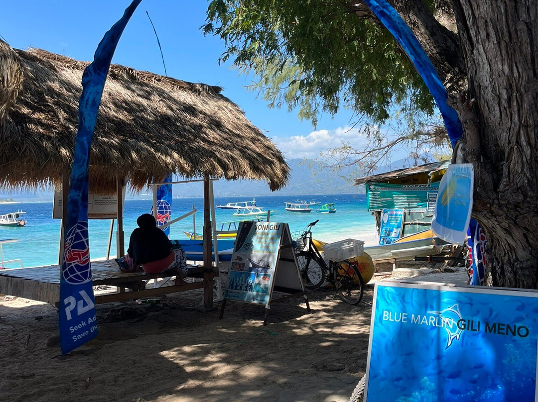 Blue Marlin Dive Gili Meno-Gili Meno必去景点