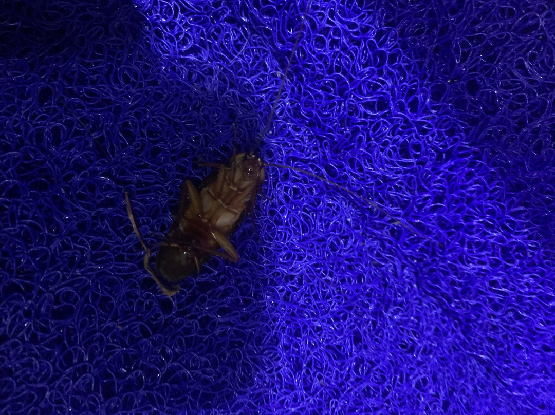 Waturanda Trip-Labuan Bajo必去景点