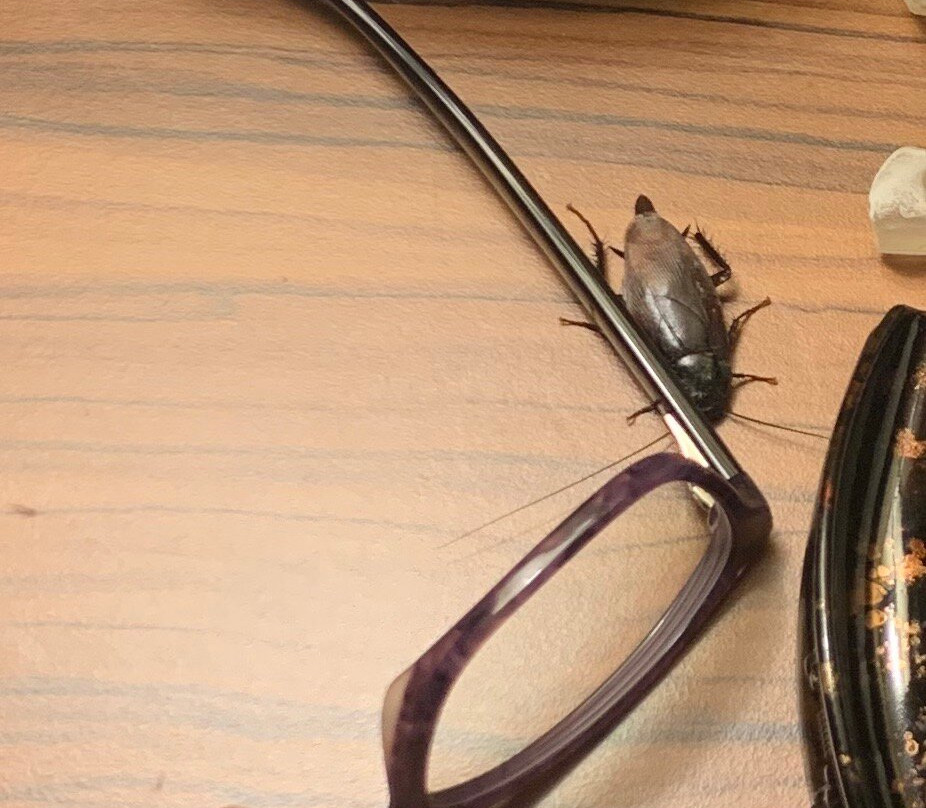 Fairfield by Marriott Inn & Suites Atlanta Acworth主图