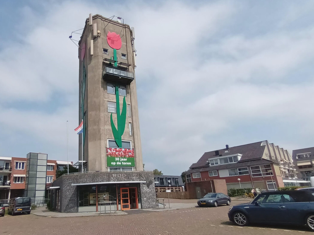 Watertoren Roelofarendsveen (1932)景点图片